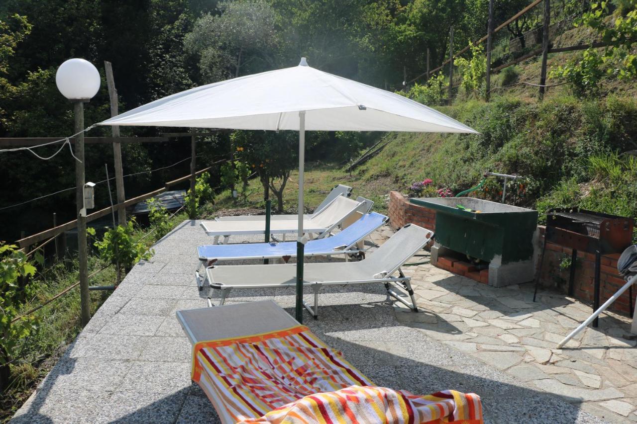 Villa Maremonti - Con 3 Piscine سيستري ليفانتي المظهر الخارجي الصورة