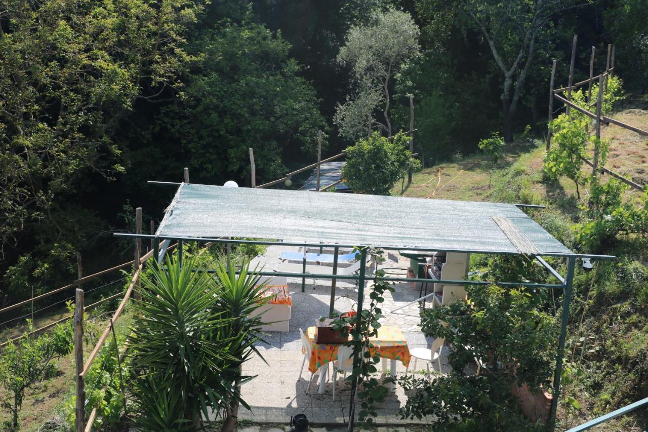 Villa Maremonti - Con 3 Piscine سيستري ليفانتي المظهر الخارجي الصورة